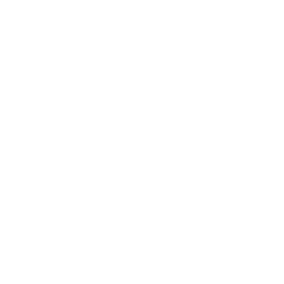 Flotte de vélos