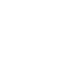 Des partenaires français